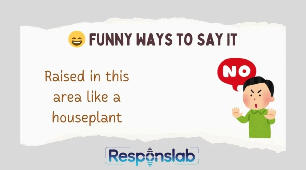 😄 Funny Ways to Say It