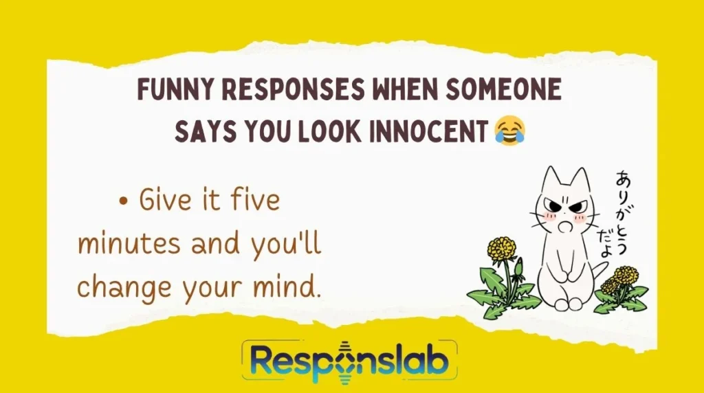 Funny Responses When Someone Says You Look Innocent 😂