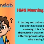 HMG Meaning in Text