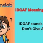 IDGAF Meaning in Text