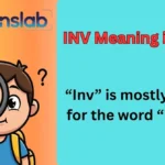 INV Meaning in Text