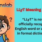 LLyT Meaning in Text