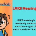 LMKS Meaning in Text