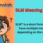 SLM Meaning in Text