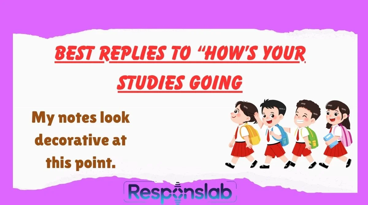 Best Replies To “How’s Your Studies Going